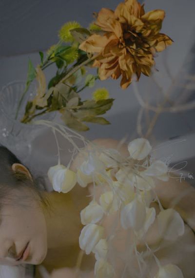 姑娘第4集在线观看免费_免VIP免费在线观看
